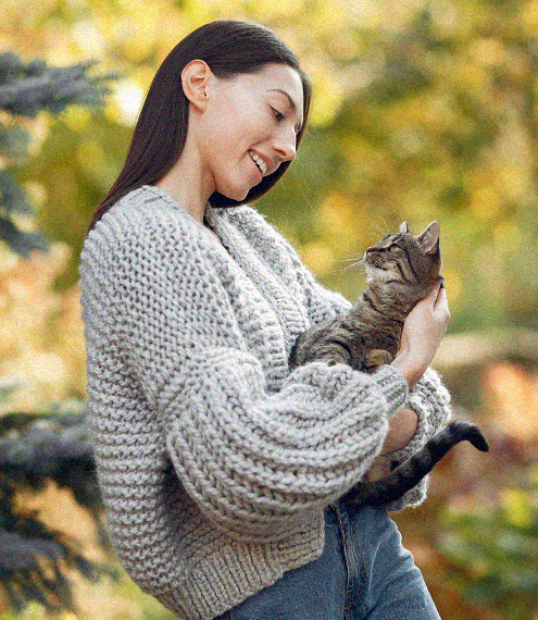 cómo hacer feliz a tu gato