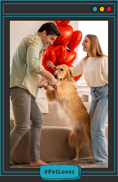 Amor y Amistad con perros