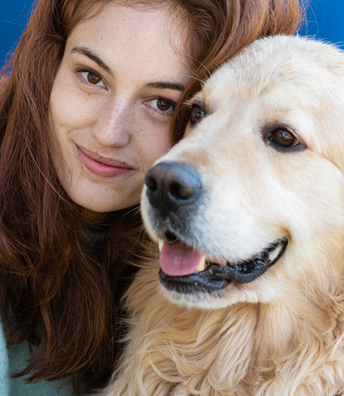 perros de terapia en los juegos olímpicos