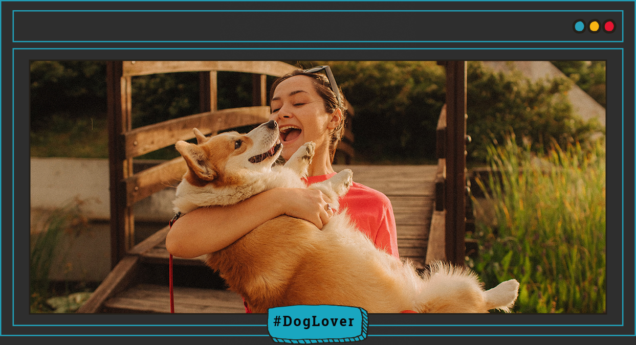 ¿A qué edad puede mi perro practicar canicros?