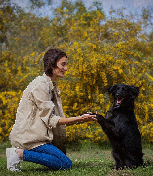 Nutriss para perros: Mantener el peso adecuado