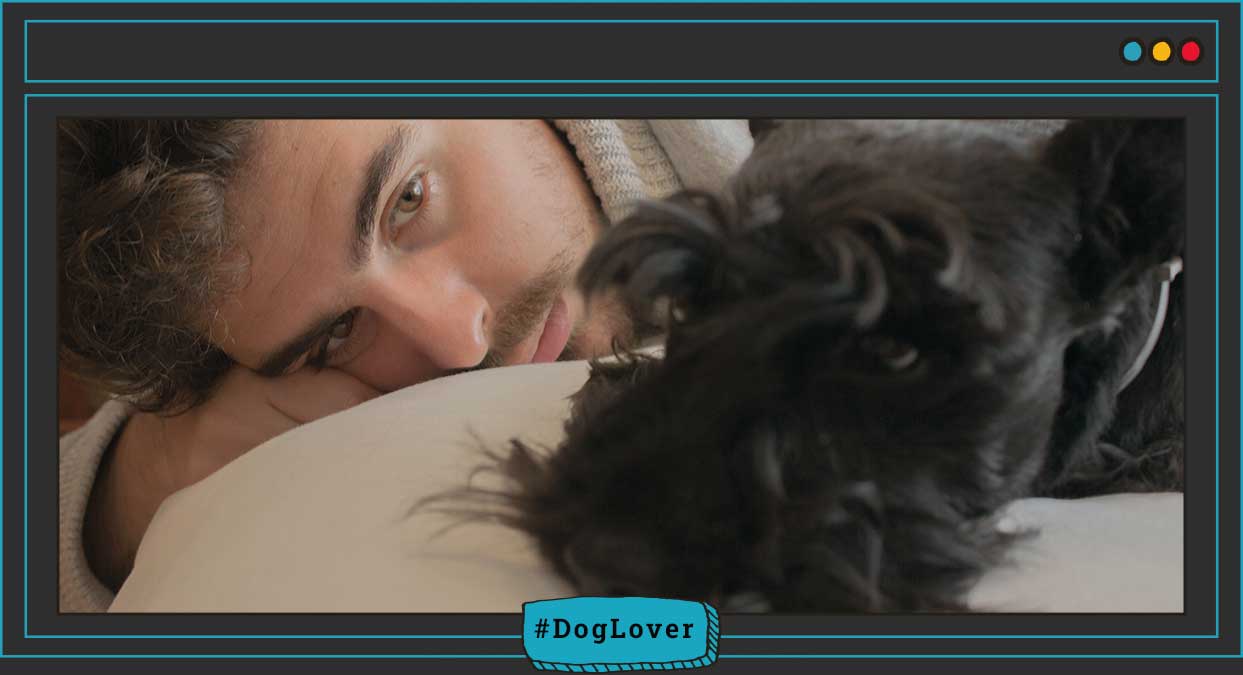 compañía de perros beneficios