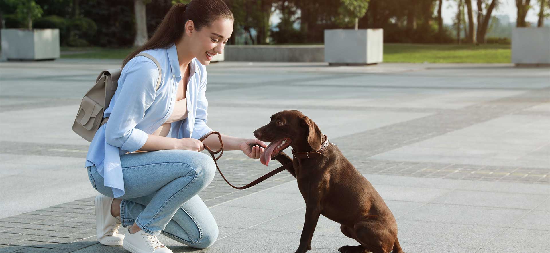 perros y bienestar emocional