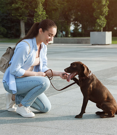 perros y bienestar emocional