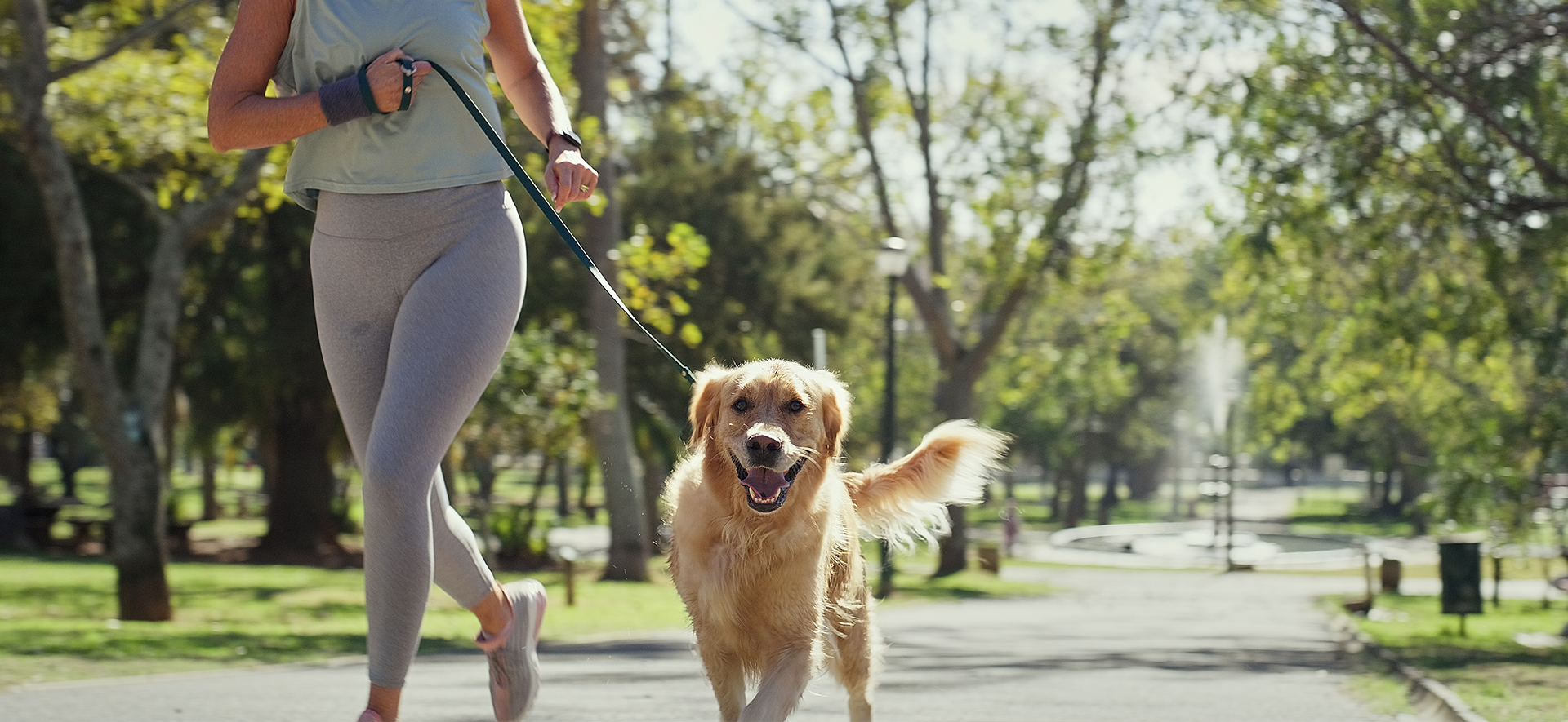  correr con perros en la ciclovía