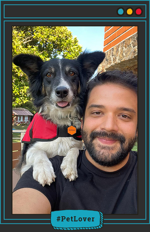actividades para perros