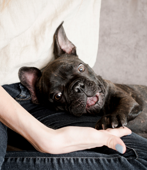 hongos en las almohadillas de los perros