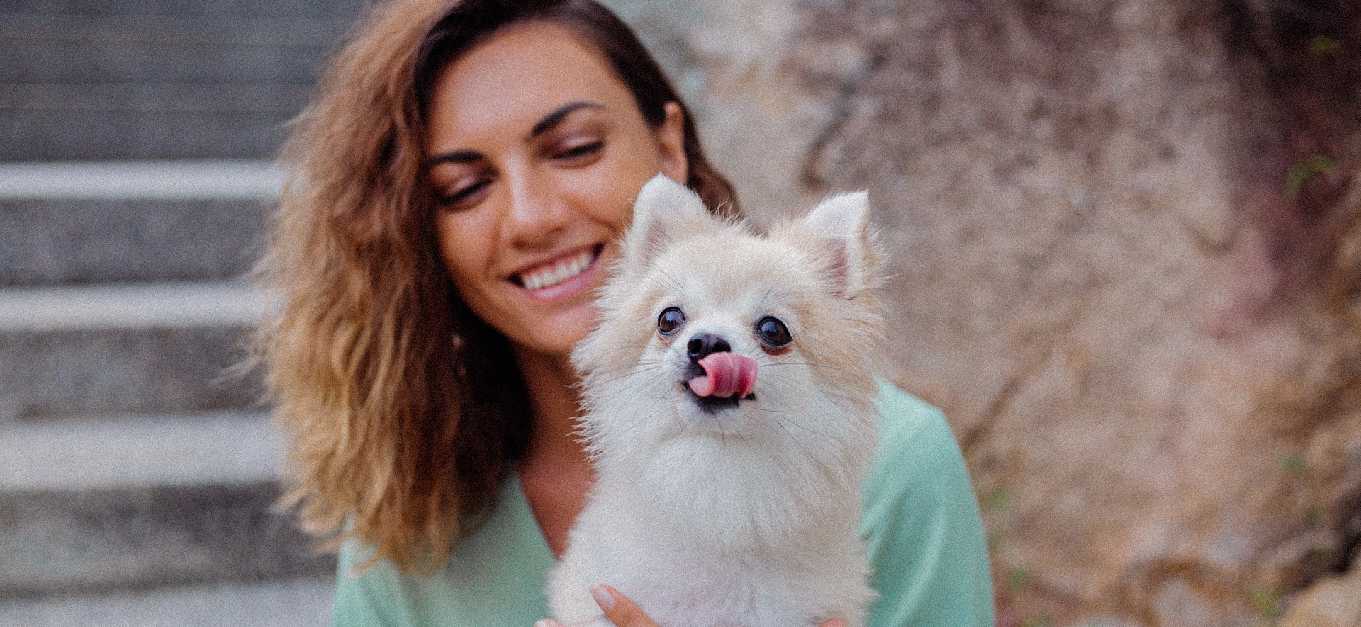 cuánto debe comer un cachorro