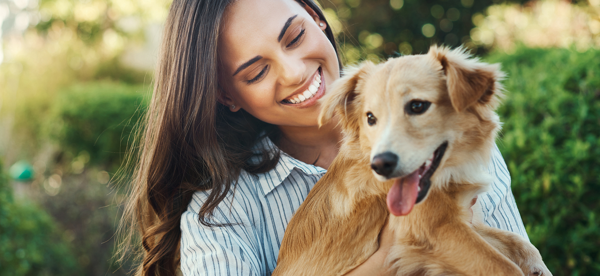relación perro humano