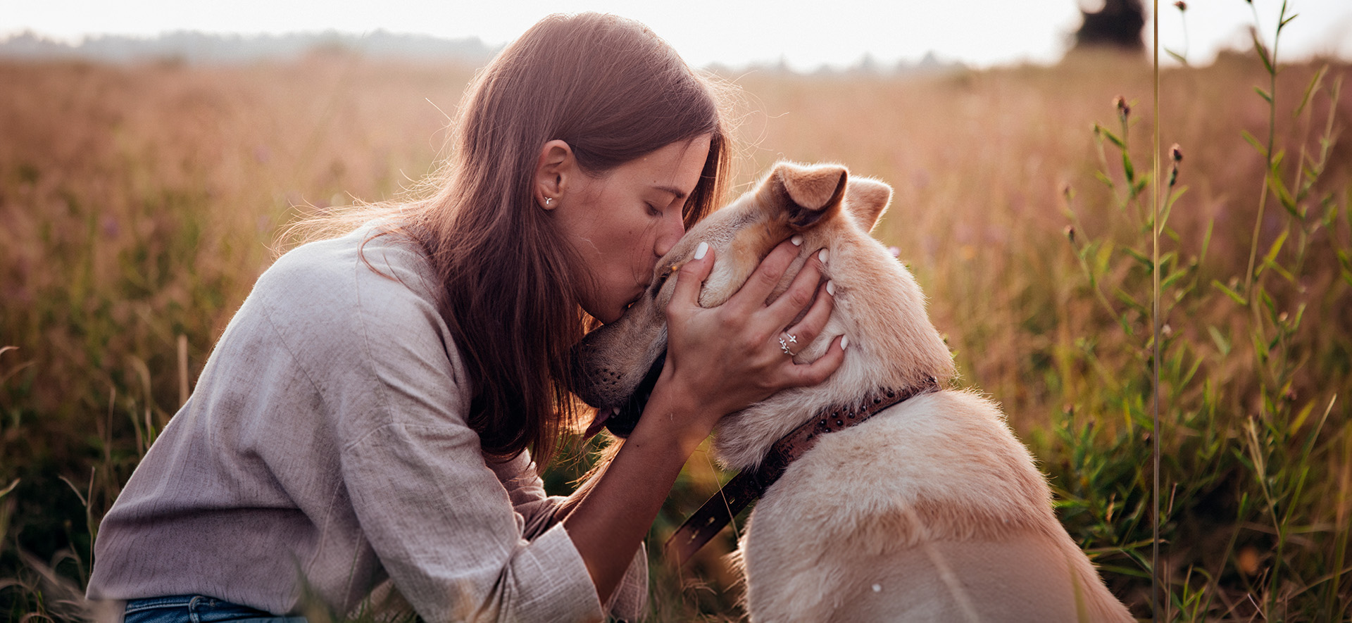 rutina para perros