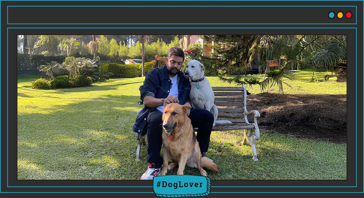  perro viejo cuidados