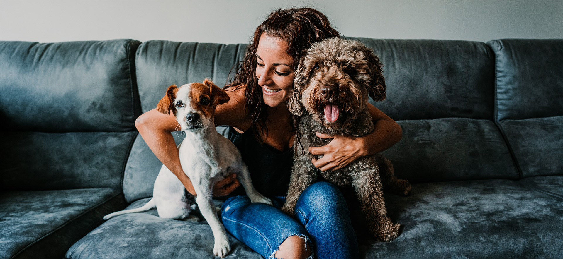nutrición a largo plazo en perros