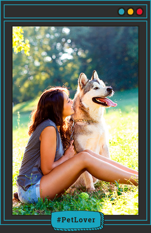 calidad de vida de los perros
