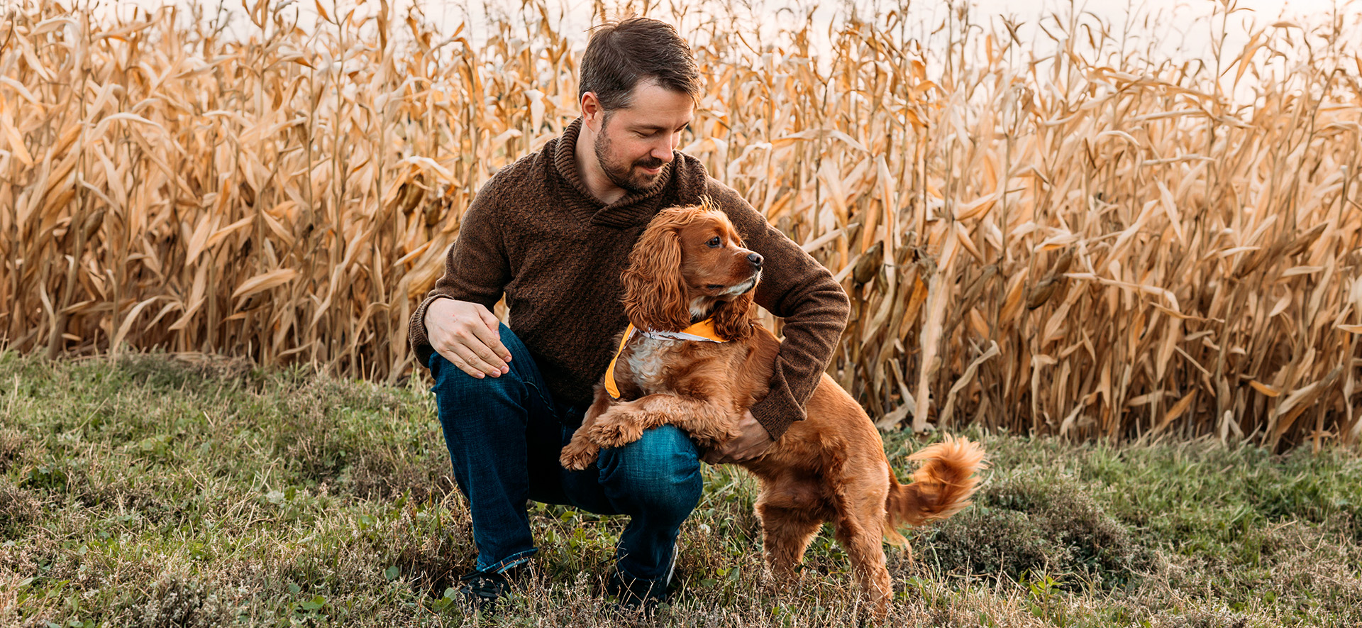 nutrición y bienestar canino