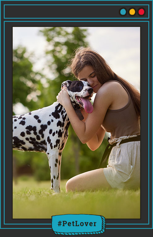 alimento balanceado para perros
