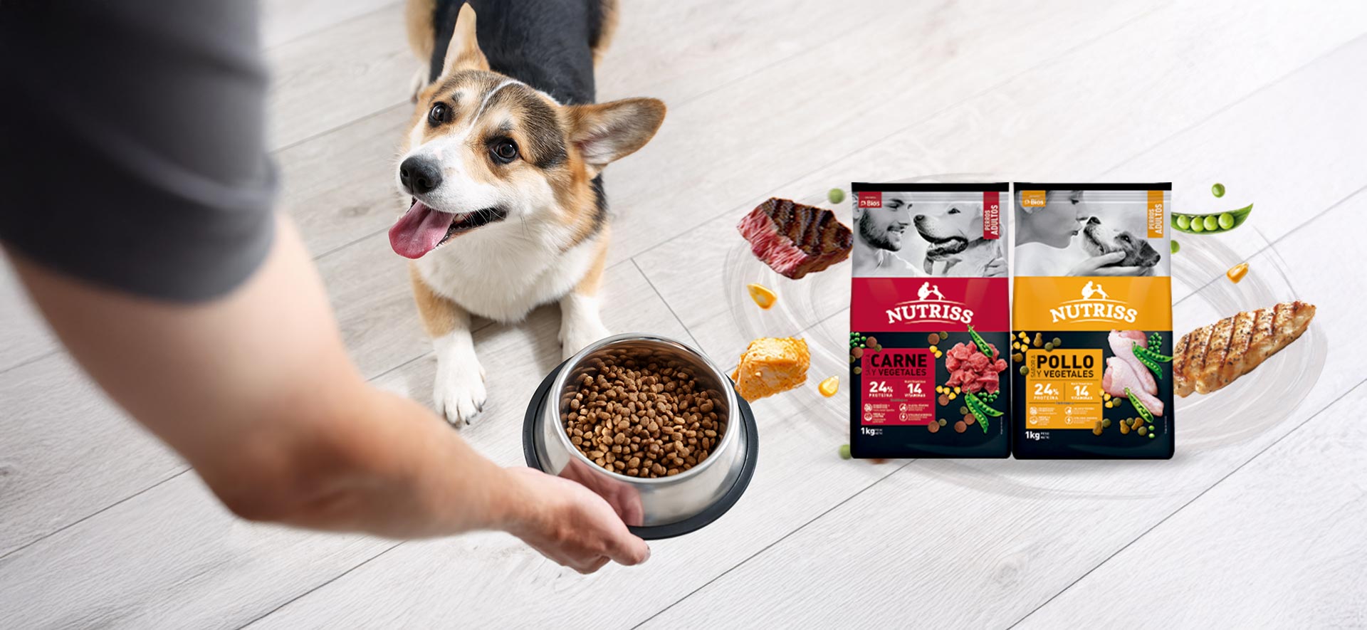 alimento para perros