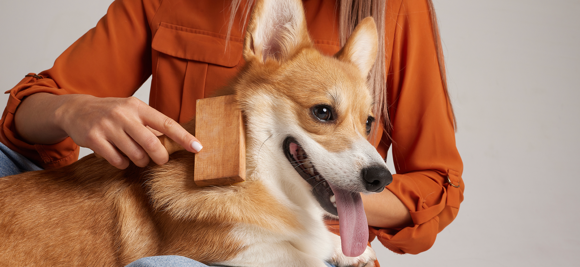 pelaje brillante en perros