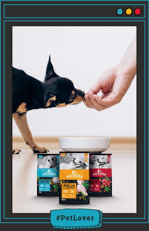 alimento para cachorros