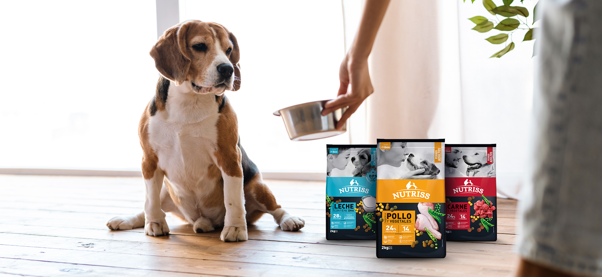 nutrición para perros