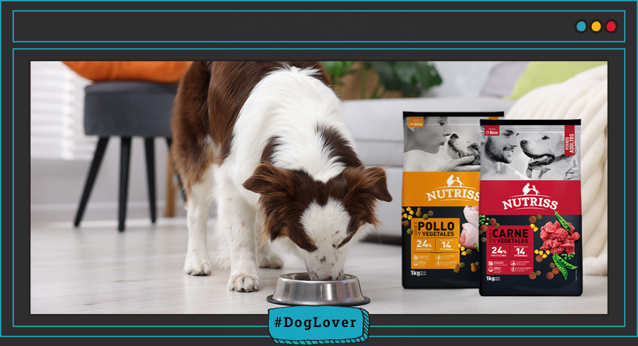 nutrición para perros