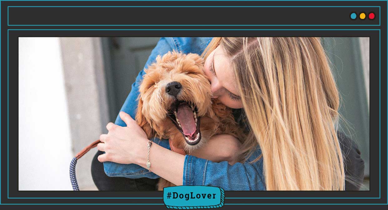 Le cambie la comida a mi perro y tiene diarrea y vómito