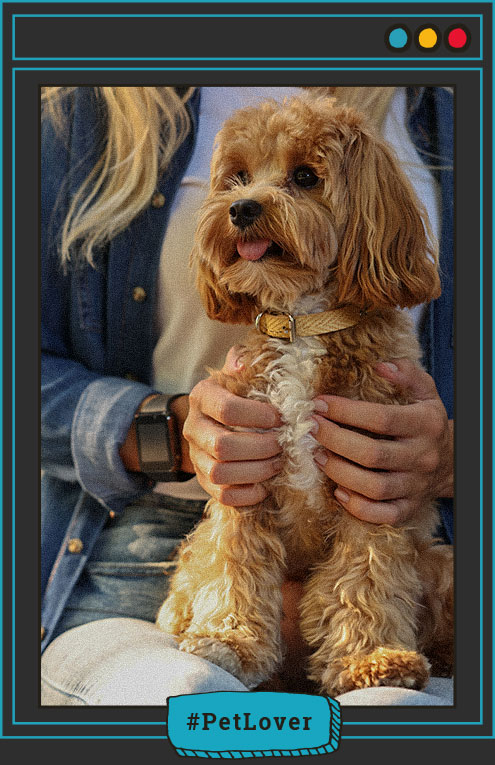 ¿Cómo puedo hacer una transición de alimento en mi perro?