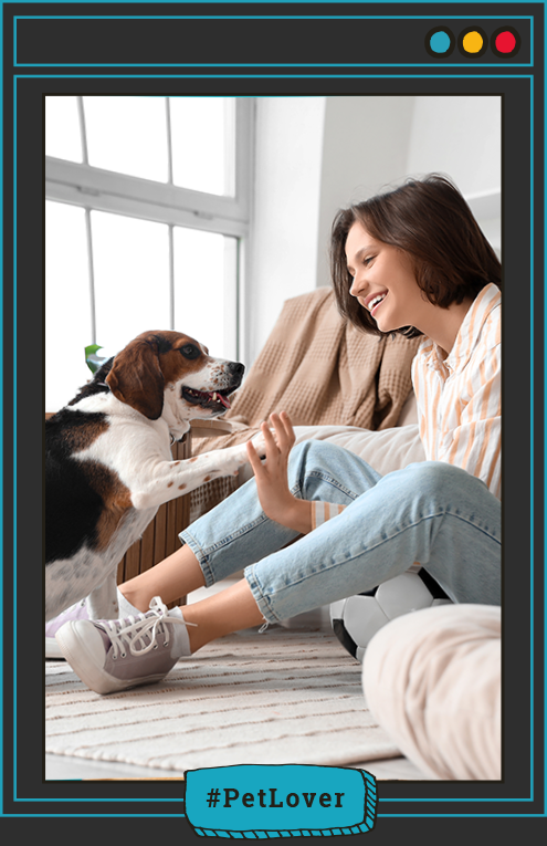  juegos de olfato para perros