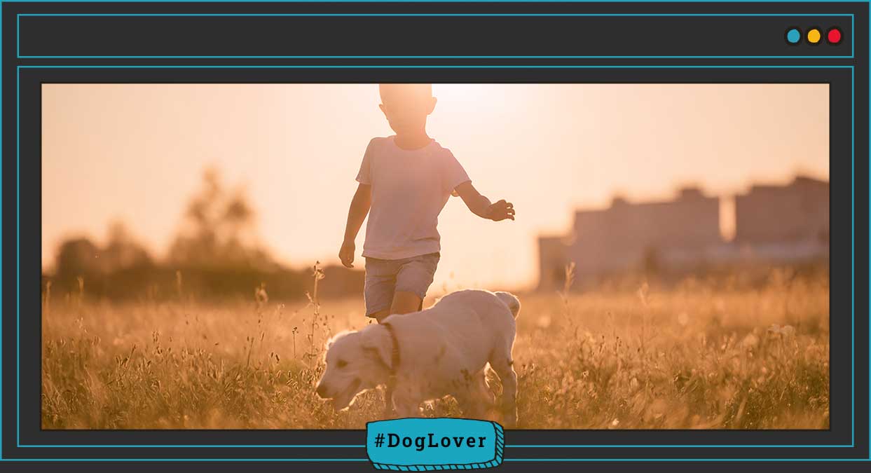 convivencia entre perros y niños