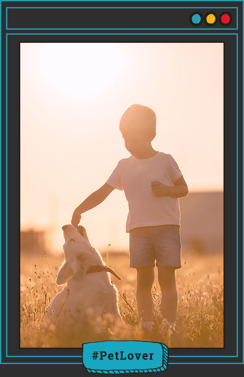 convivencia segura perros y niños