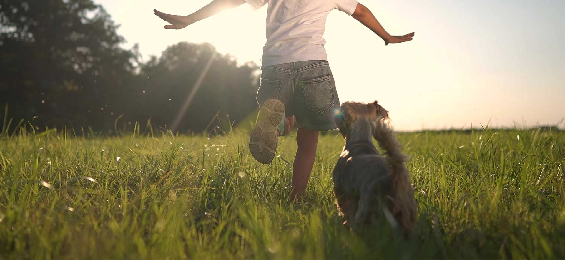 cuidado de perros en familia