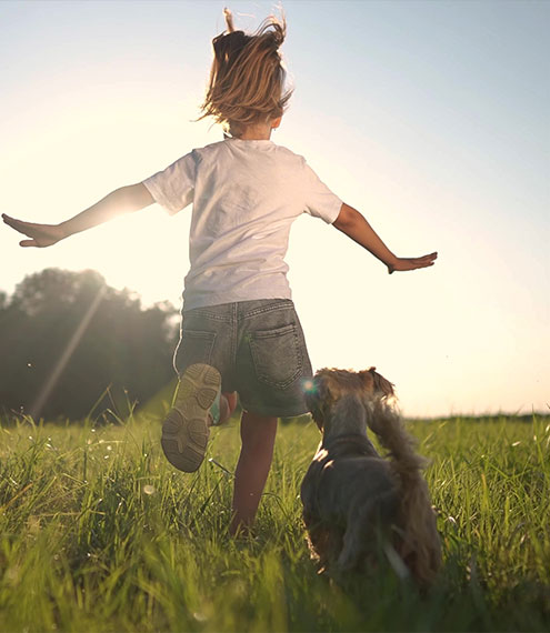 cuidado de perros en familia