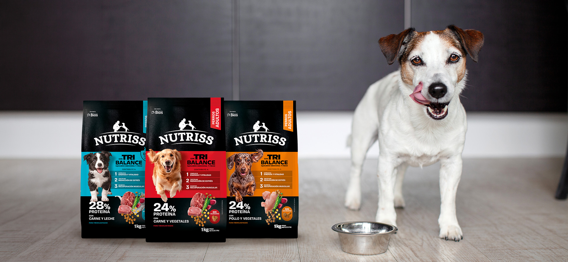 probióticos para perros