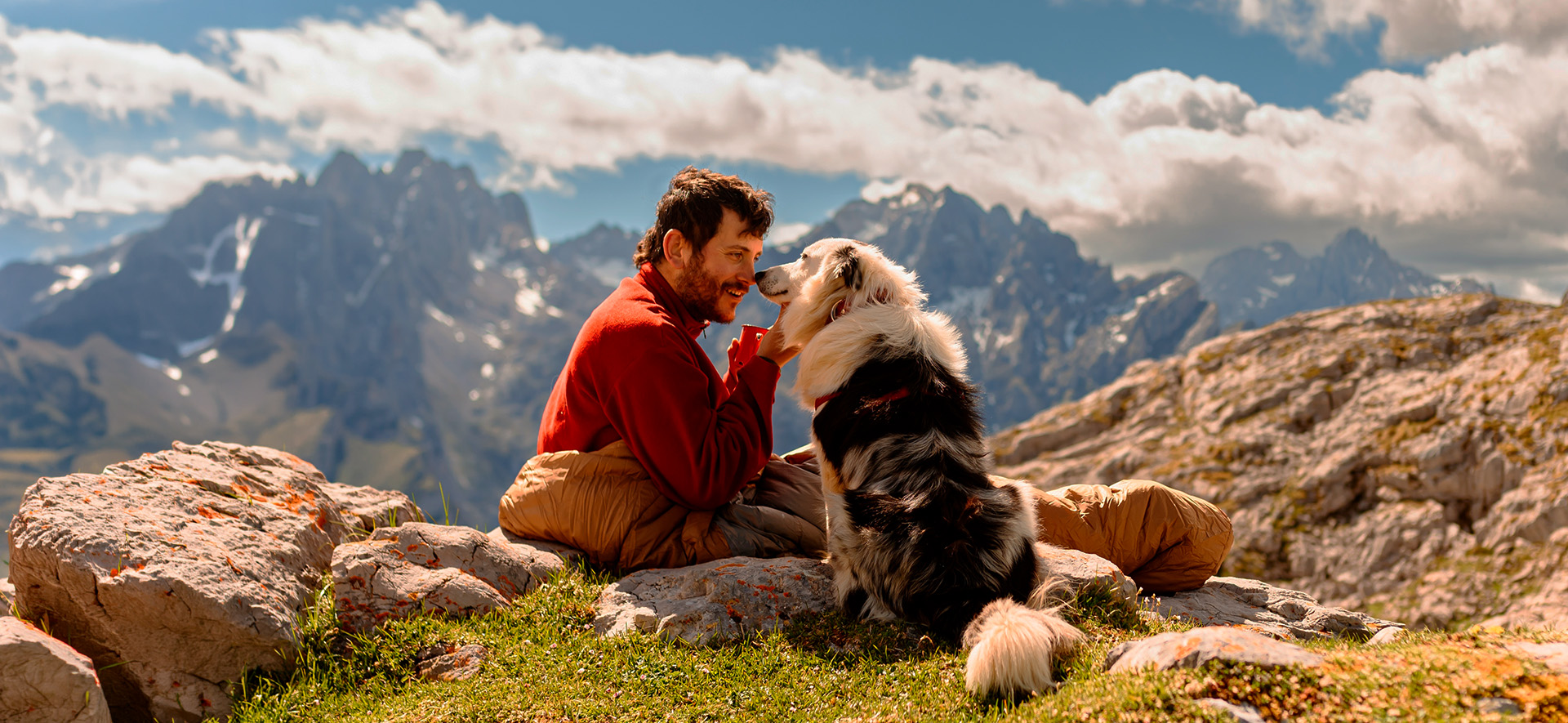 proteína para perro senior