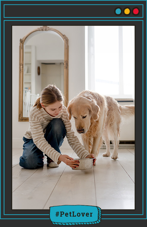  porcentaje de proteína en alimentos para perros