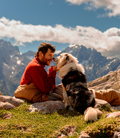 proteína para perro senior