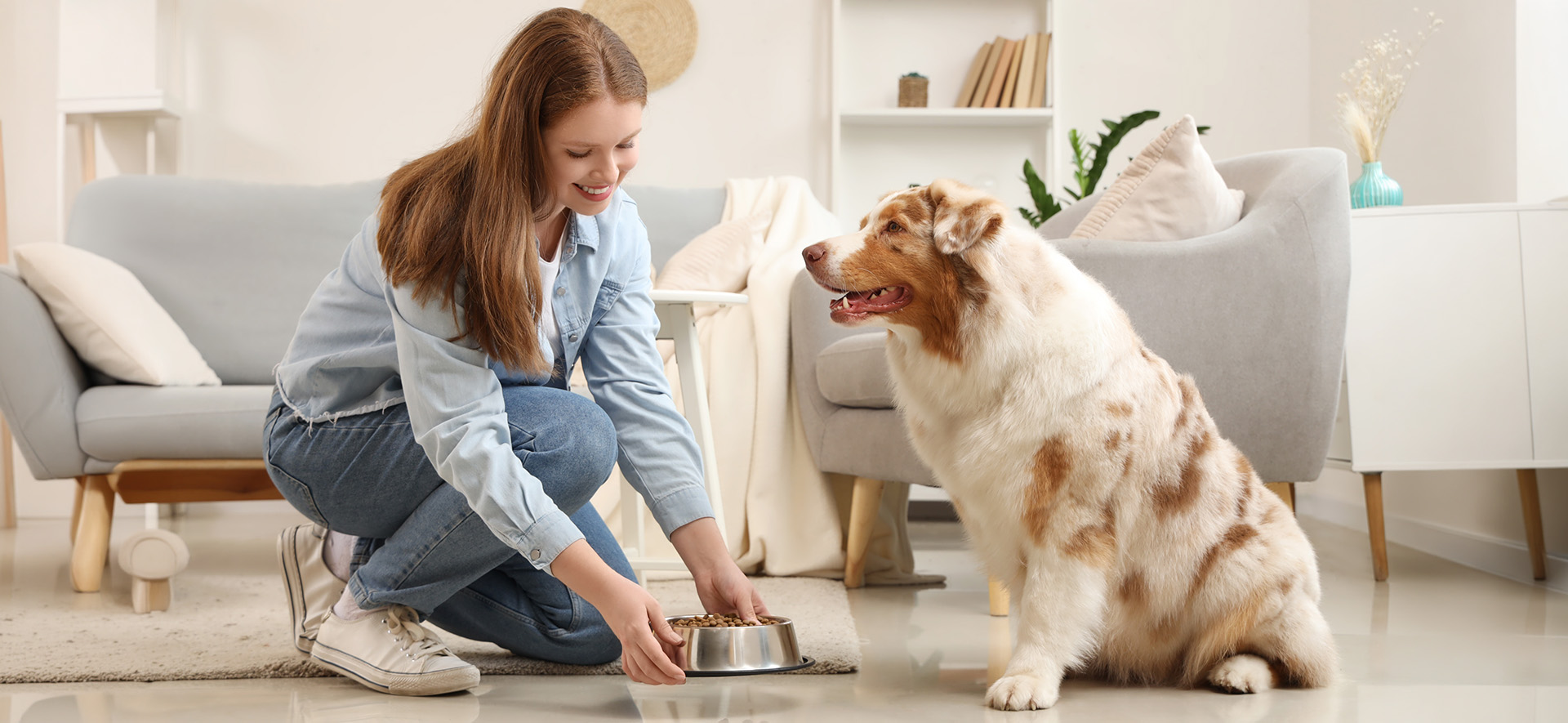 TRIBALANCE para perros