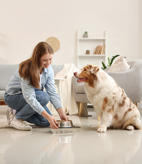 TRIBALANCE para perros