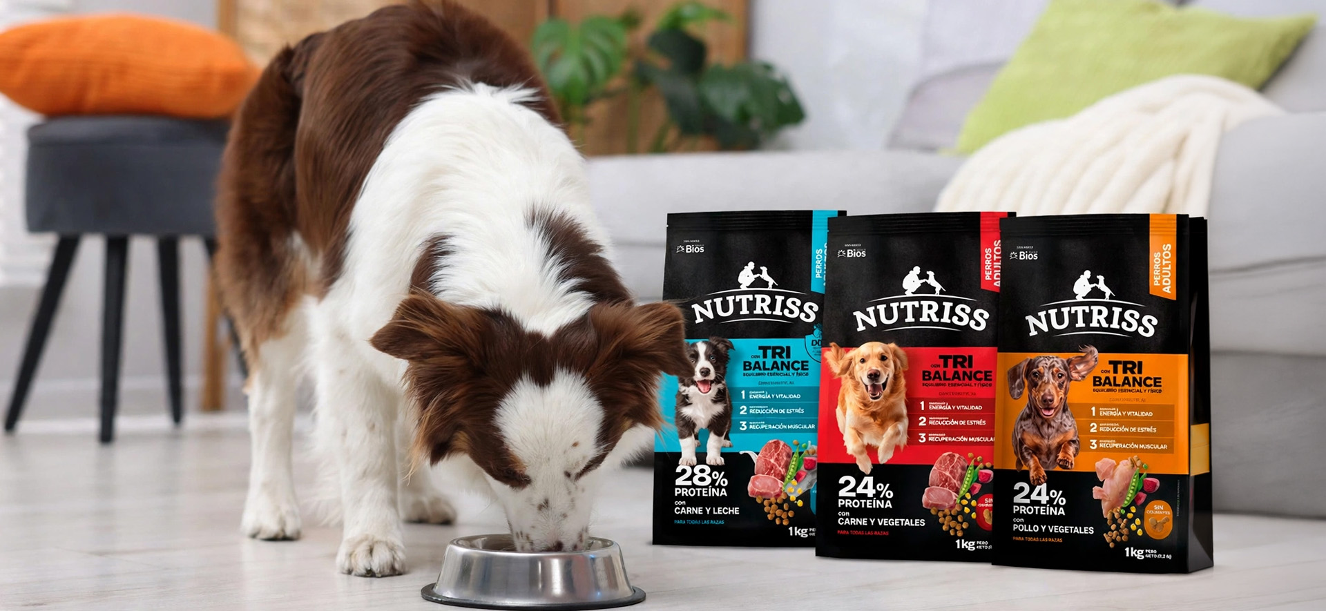 alimento con probióticos para perros
