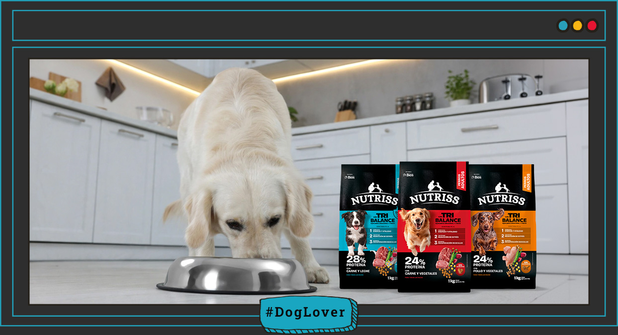 Nutriss TRIBALANCE para perros