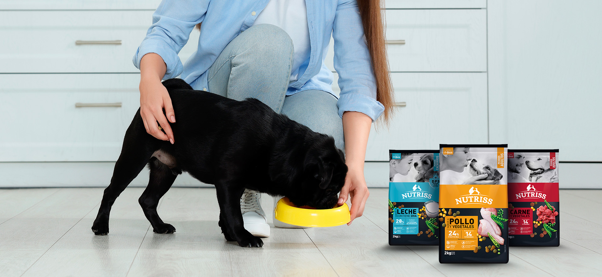 relación entre perros y humanos