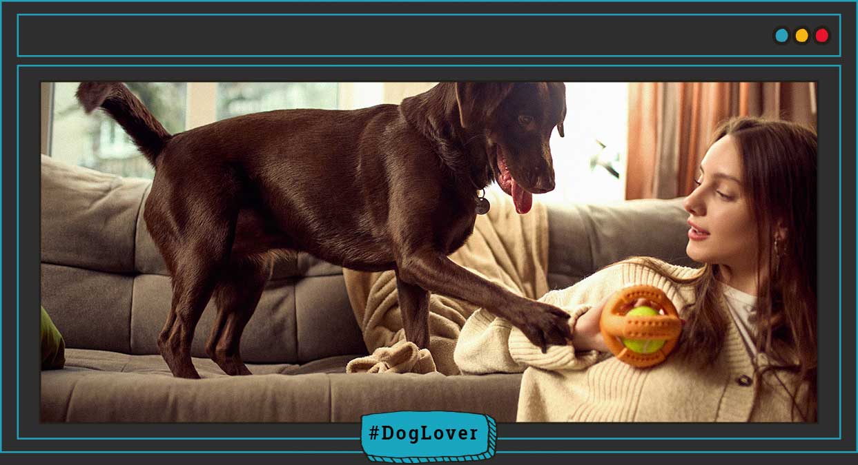 ¿cada cuánto lavar los dientes a un perro?