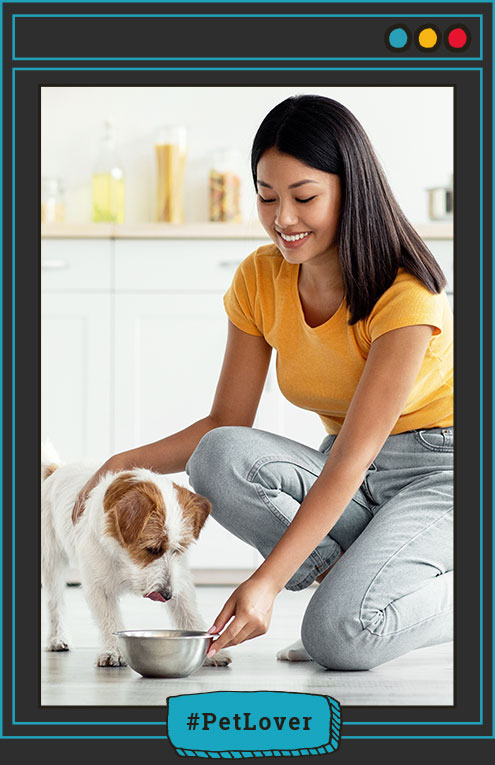  salud integral perro