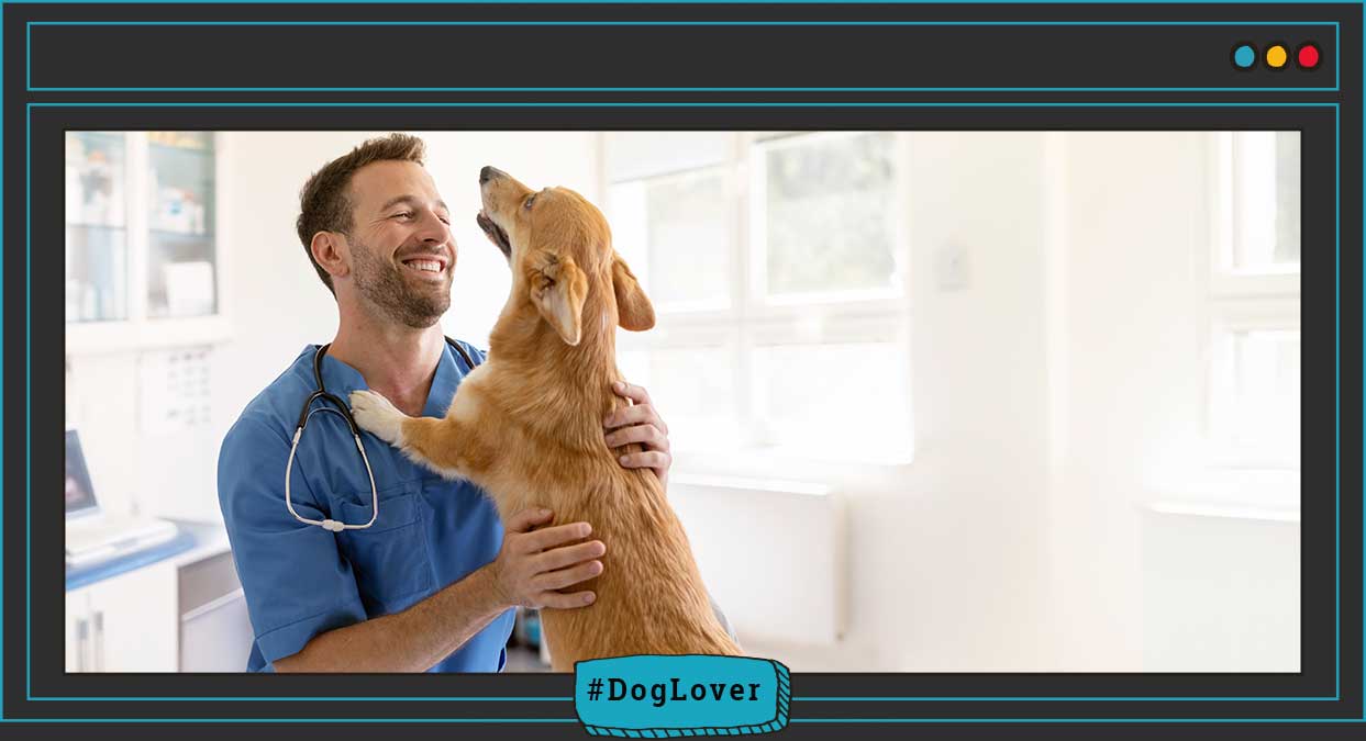 medicina preventiva perro