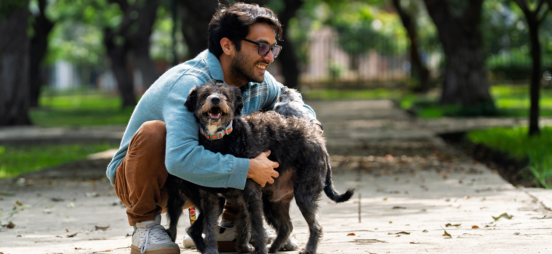  triptófano perros beneficios