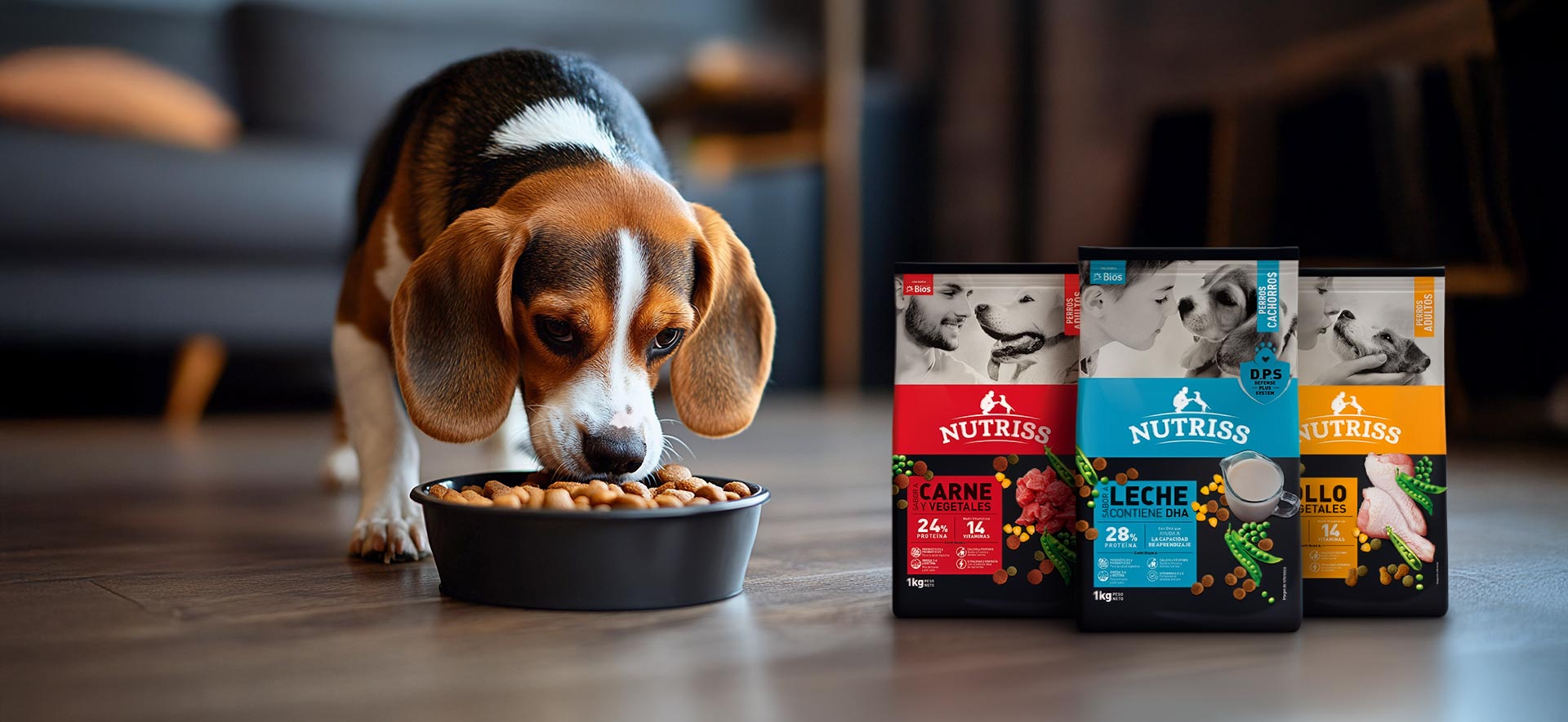 alimentación intuitiva para perros