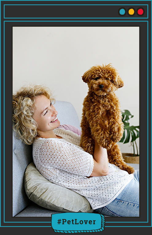  Convivencia perro y tutor