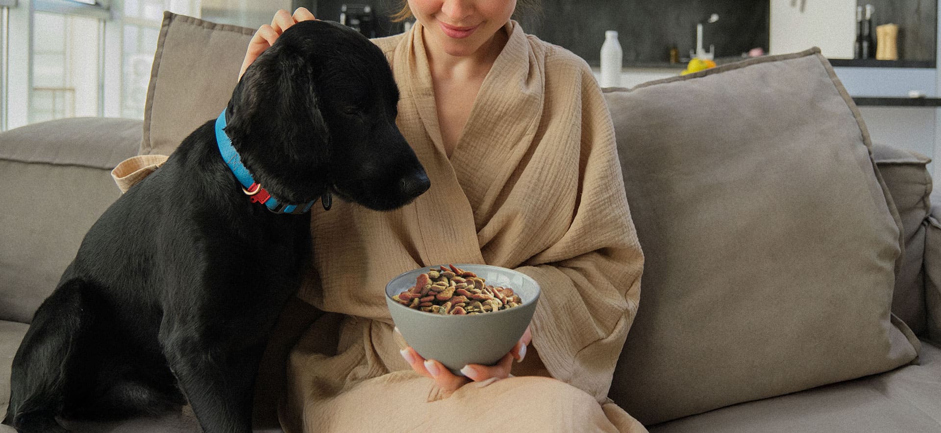 como puedo saber cuanto debe comer mi perro