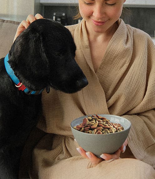 como puedo saber cuanto debe comer mi perro