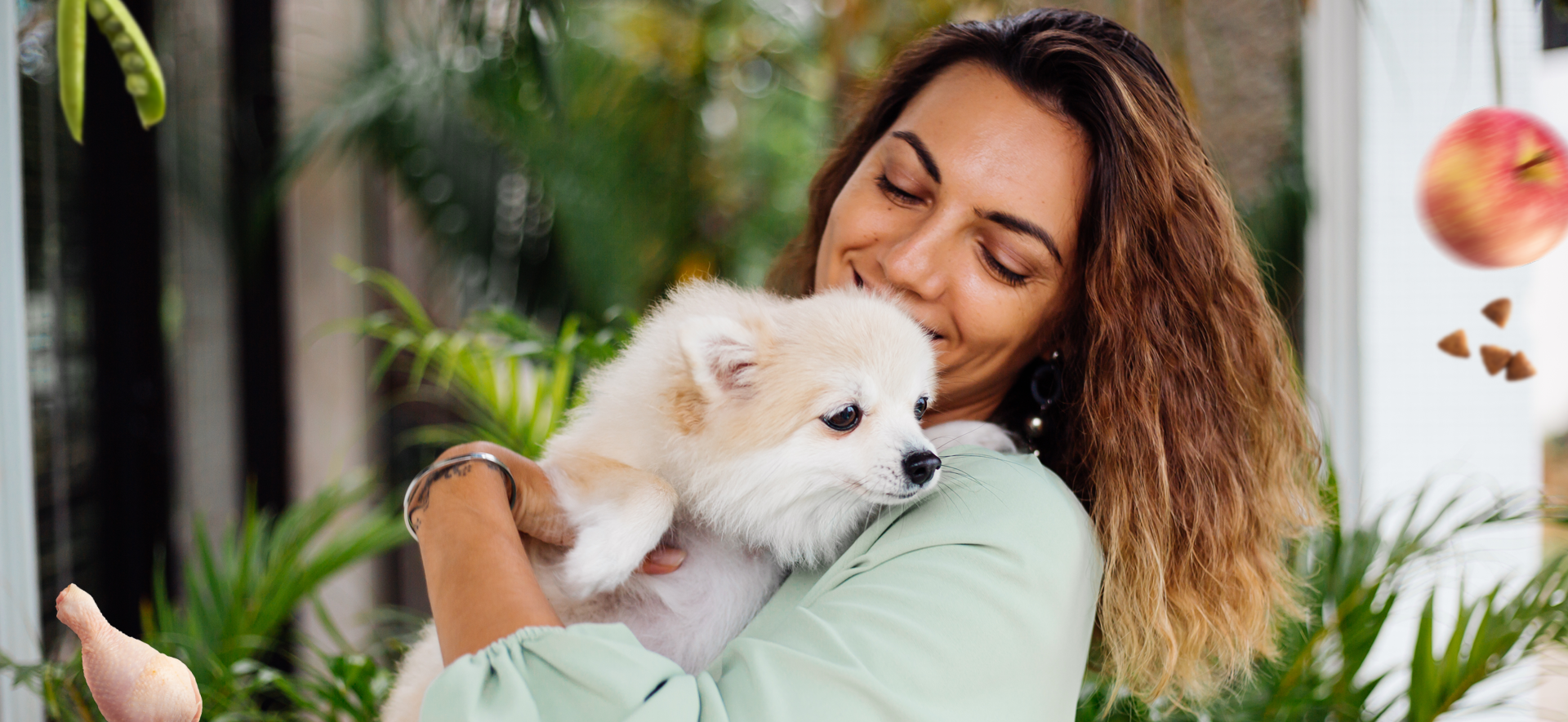 por qué elegir comida natural para perros