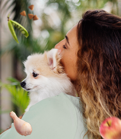 por qué elegir comida natural para perros